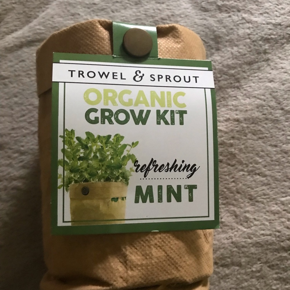 Organic Mint grow kit